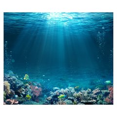 Papel de Parede Fundo do Mar Natureza Peixes Sala Painel Adesivo - 130pc na internet