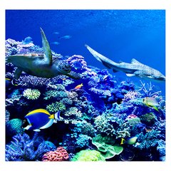 Papel de Parede Fundo do Mar Natureza Peixes Sala Painel Adesivo - 133pc - comprar online