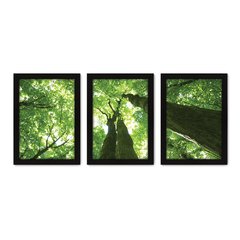 Kit Com 3 Quadros - Floresta Árvores Paisagem - 139kq02p - comprar online
