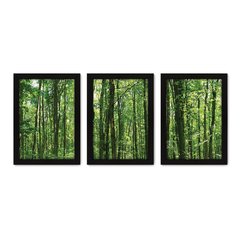 Kit Com 3 Quadros - Floresta Árvores Paisagem - 140kq02p - comprar online