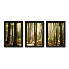 Kit Com 3 Quadros - Floresta Árvores Paisagem - 144kq02p - comprar online