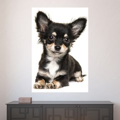 Painel Adesivo de Parede - Cachorro - Pet Shop - 1624pn