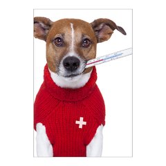 Painel Adesivo de Parede - Cachorro - Pet Shop - 1625pn - comprar online