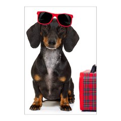 Painel Adesivo de Parede - Cachorro - Pet Shop - 1626pn - comprar online