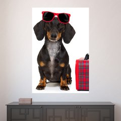 Painel Adesivo de Parede - Cachorro - Pet Shop - 1626pn