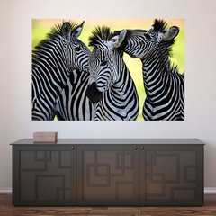 Painel Adesivo de Parede - Zebras - Animais - 1669pn