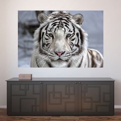 Painel Adesivo de Parede - Tigre Branco - Animais - 1670pn