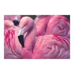 Painel Adesivo de Parede - Flamingos - Animais - 1693pn - comprar online
