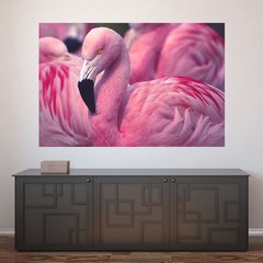 Painel Adesivo de Parede - Flamingos - Animais - 1693pn