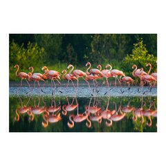 Painel Adesivo de Parede - Flamingos - Animais - 1694pn - comprar online