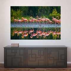 Painel Adesivo de Parede - Flamingos - Animais - 1694pn