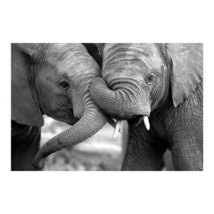 Painel Adesivo de Parede - Elefantes - Animais - 1697pn - comprar online