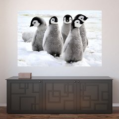 Painel Adesivo de Parede - Pinguim - Animais - 1698pn