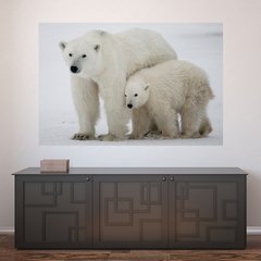 Painel Adesivo de Parede - Urso Polar - Animais - 1699pn