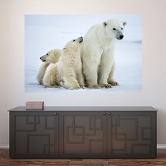 Painel Adesivo de Parede - Urso Polar - Animais - 1700pn
