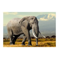 Painel Adesivo de Parede - Elefante - Animais - 1701pn - comprar online