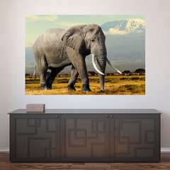 Painel Adesivo de Parede - Elefante - Animais - 1701pn