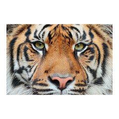 Painel Adesivo de Parede - Tigre - Animais - 1706pn - comprar online