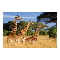 Painel Adesivo de Parede - Girafas - Animais - 1715pn - comprar online
