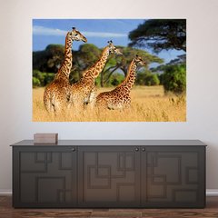 Painel Adesivo de Parede - Girafas - Animais - 1715pn