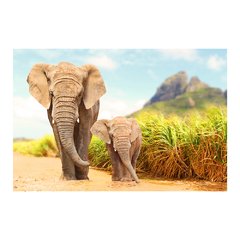 Painel Adesivo de Parede - Elefantes - Animais - 1730pn - comprar online