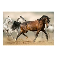 Painel Adesivo de Parede - Cavalos - Animais - 1735pn - comprar online