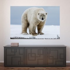 Painel Adesivo de Parede - Urso Polar - Animais - 1739pn