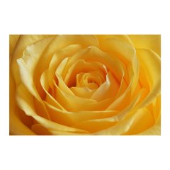 Painel Adesivo de Parede - Rosa Amarela - Flores - 1747pn - comprar online