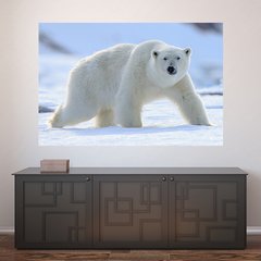 Painel Adesivo de Parede - Urso Polar - Animais - 1749pn