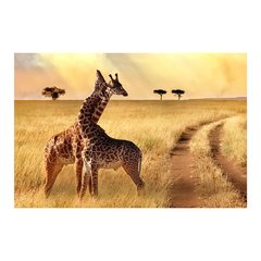 Painel Adesivo de Parede - Girafas - Animais - 1794pn - comprar online