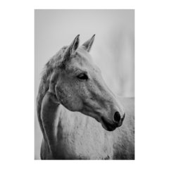 Painel Adesivo de Parede - Cavalo - Animais - 1828pn - comprar online