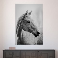 Painel Adesivo de Parede - Cavalo - Animais - 1828pn