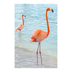 Painel Adesivo de Parede - Flamingos - Animais - 1836pn - comprar online