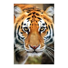 Painel Adesivo de Parede - Tigre - Animais - 1837pn - comprar online
