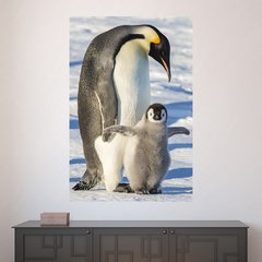 Painel Adesivo de Parede - Pinguim - Animais - 1840pn
