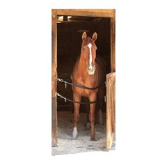 Adesivo Decorativo de Porta - Cavalo - Estábulo - 187cnpt na internet