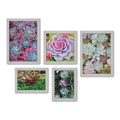 Kit Com 5 Quadros Decorativos - Suculentas - Plantas - 197kq01 - Allodi