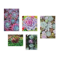 Kit 5 Placas Decorativas - Suculentas - Plantas Casa Quarto Sala - 197ktpl5 - comprar online