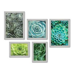 Kit Com 5 Quadros Decorativos - Suculentas - Plantas - 198kq01 - Allodi