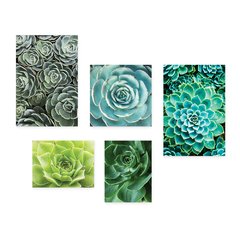Kit 5 Placas Decorativas - Suculentas - Plantas Casa Quarto Sala - 198ktpl5 - comprar online