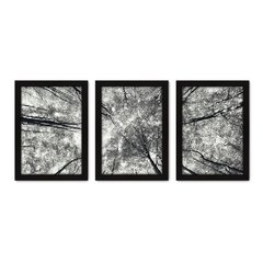 Kit Com 3 Quadros - Floresta Árvores Paisagem - 204kq02p - comprar online