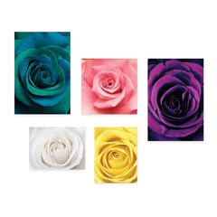 Kit 5 Placas Decorativas - Flores - Rosas Casa Quarto Sala - 218ktpl5 - comprar online