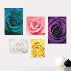 Kit 5 Placas Decorativas - Flores - Rosas Casa Quarto Sala - 218ktpl5