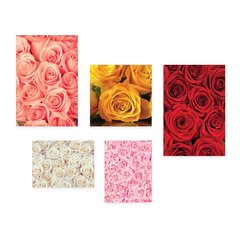Kit 5 Placas Decorativas - Flores - Rosas Casa Quarto Sala - 219ktpl5 - comprar online
