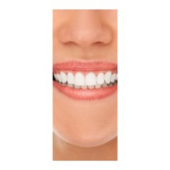 Adesivo Decorativo De Porta - Dentista - 2209cnpt na internet