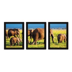 Kit Com 3 Quadros - Elefantes Campo Paisagem - 223kq02p - comprar online