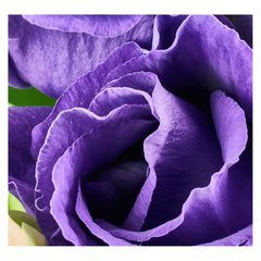 Papel de Parede Flor Rosa Floral Roxo Natureza Sala Painel Adesivo - 227pc - comprar online