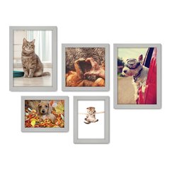 Kit Com 5 Quadros Decorativos - Pet Shop - Cachorro - Gato - Animais - Veterinário - 228kq01 - Allodi