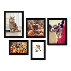 Kit Com 5 Quadros Decorativos - Pet Shop - Cachorro - Gato - Animais - Veterinário - 228kq01 na internet