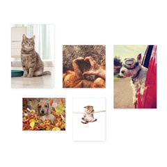Kit 5 Placas Decorativas - Pet Shop - Cachorro - Gato - Animais - Veterinário Casa Quarto Sala - 228ktpl5 - comprar online